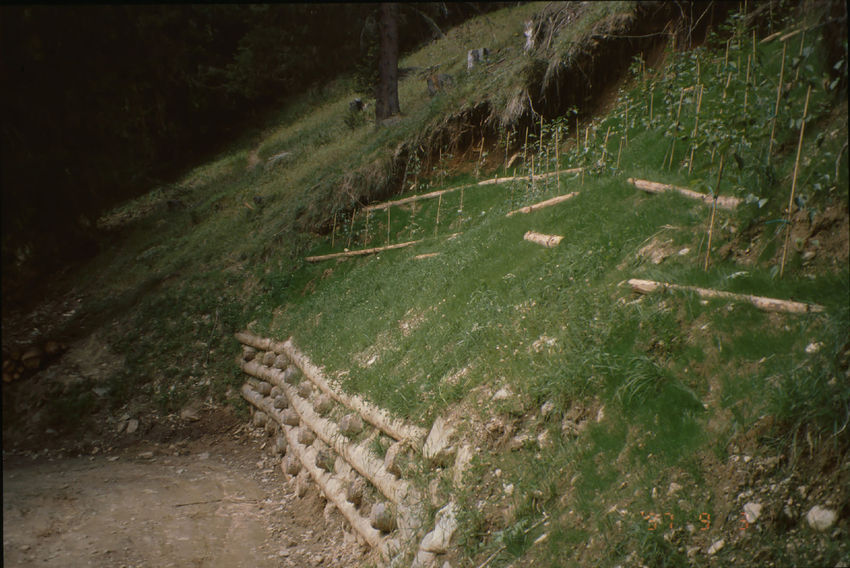 Palificata, Strada Malga Monte Sole