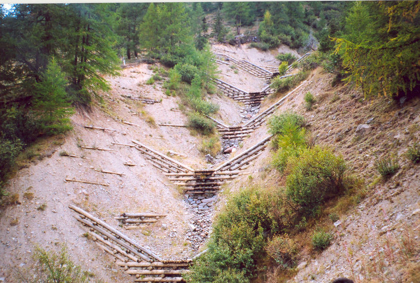Palificata, Valle di Fassa - Estate 2004