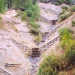 Palificata, Valle di Fassa - Estate 2004