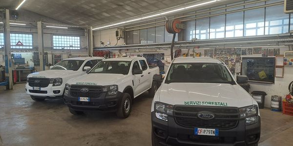 Immagine decorativa per il contenuto Nuovi Pick Up per i capi squadra del Servizio Bacini montani