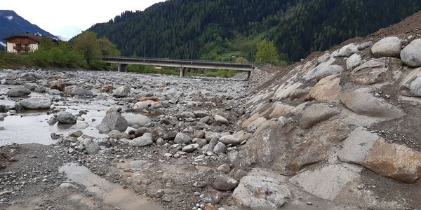 Immagine decorativa per il contenuto Riqualificazione dell’area golenale destra del torrente Sarca di Campiglio