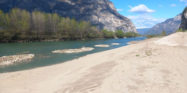 Immagine decorativa per il contenuto Rinaturalizzazione e mitigazione della pericolosità idraulica del fiume Adige al confine nord di Provincia